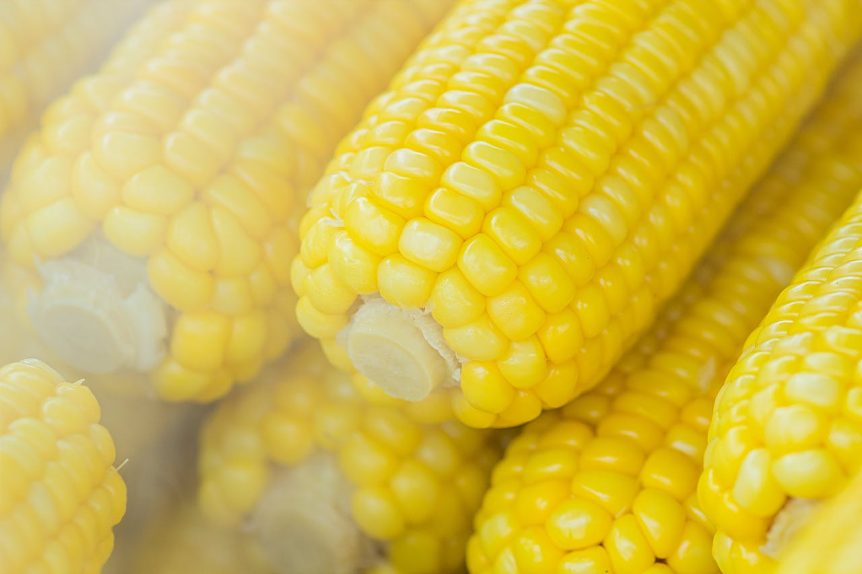 Picture of corn