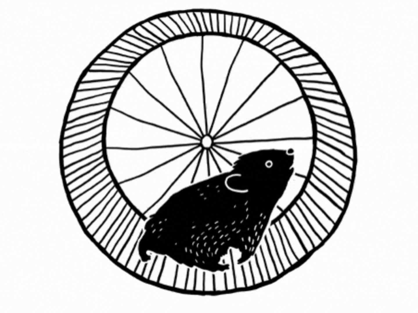 Hamster running on a wheel in it's cage.